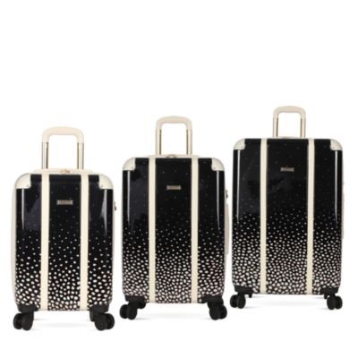 bcbg luggage