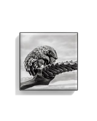 Luminescent Eye Shade