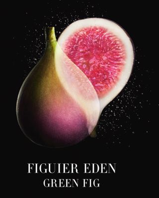 armani figuier eden