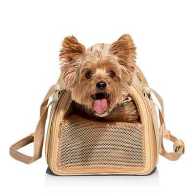 Wild One, Airline Approved Pet + Dog Carrier