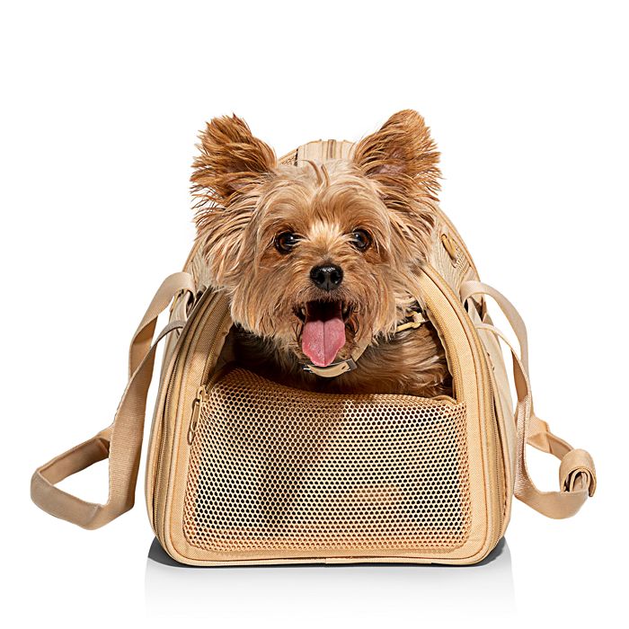 Wild One - Travel Pet Carrier