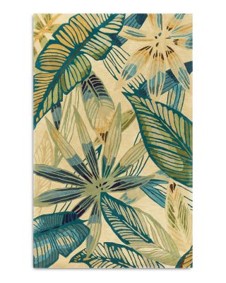 Sparta Nassau Area Rug Collection