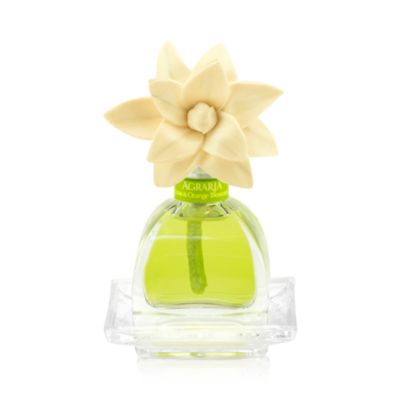 PetiteEssence, Lime &amp; Orange