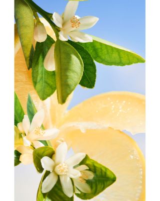 Allegra Riva Solare Eau de Parfum 3.4 oz.