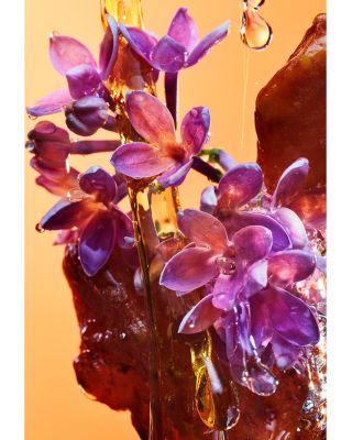 Allegra Rock 'n' Rome Eau de Parfum 3.4 oz.