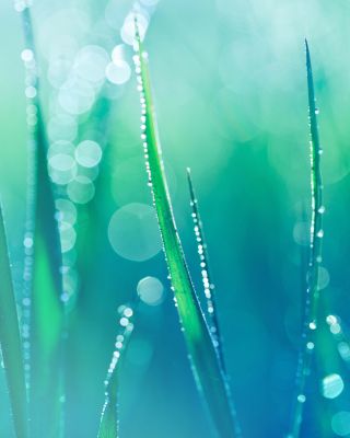 My Happy Indigo Mist 0.5 oz.