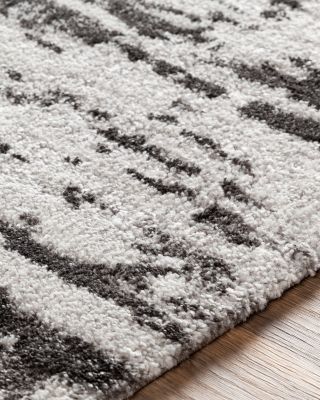 Venice VNE-2301 Area Rug, 3'11" x 5'7"