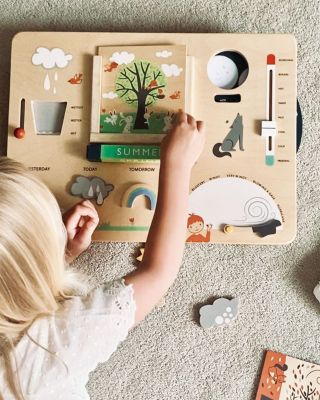 Weather Watch Toy - Ages 3+