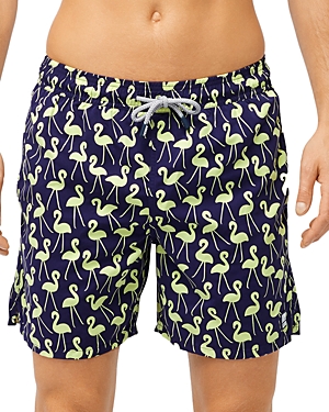 Tom & Teddy Flamingo Print Swim Trunks