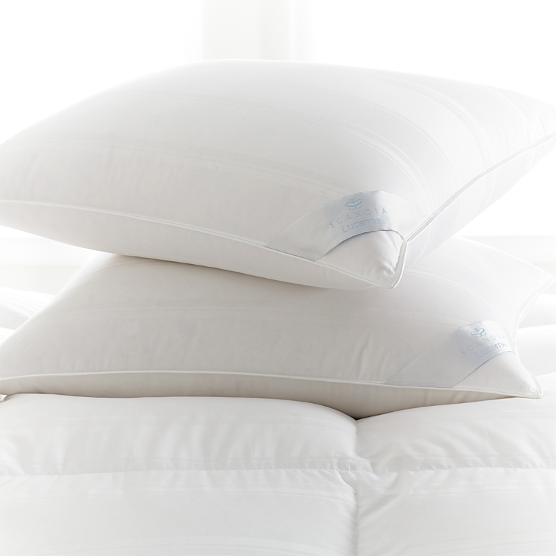 Scandia Home Lucerne Medium Down Pillow In White
