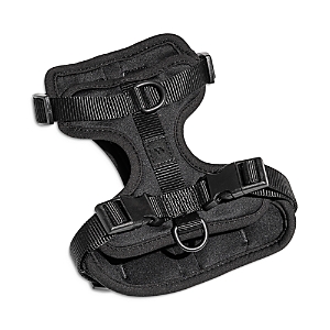 Wild One Cushioned Dog Harness In Black