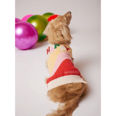 max bone dog clothes