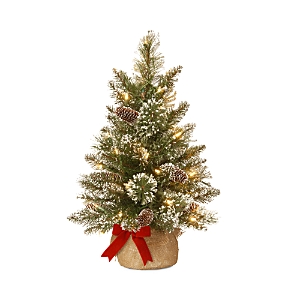National Tree Company 2 Ft. Glittery Bristle Pine Burlap Tree With Lights In Green