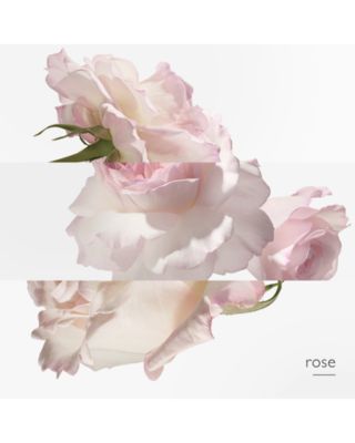 Concentr&amp;eacute; de pamplemousse rose Eau de Toilette Spray 