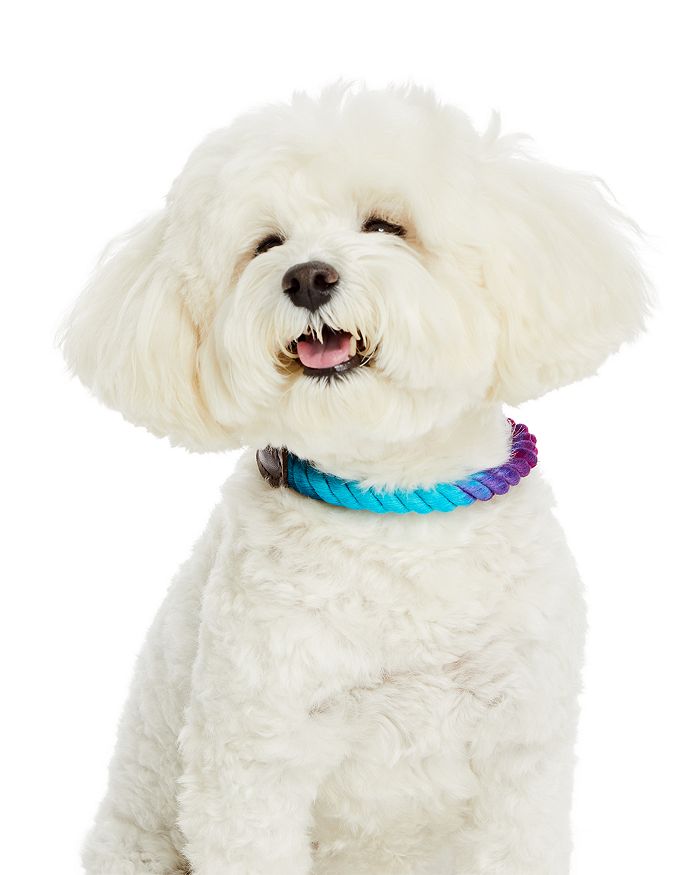 Found my animal rope collar hot sale