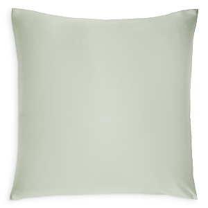 Gingerlily Silk Euro Pillowcase, 26 X 26 In Sage