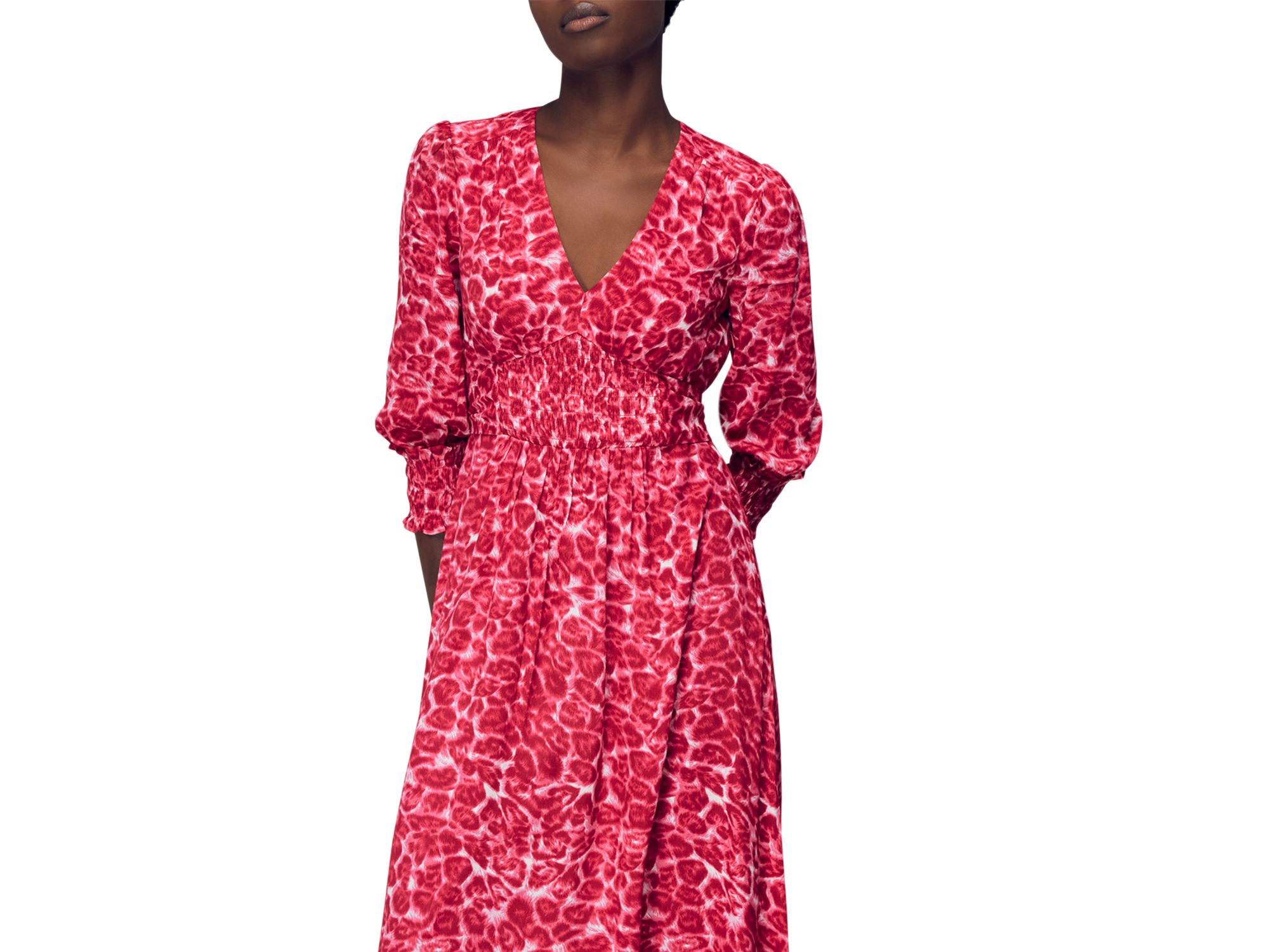 Clouded Leopard Shirred Dress — Image 3