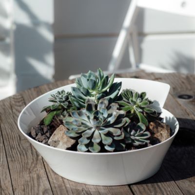 New Wave Round Salad Bowl, Large