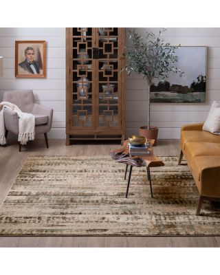 Vanguard Ephemeral Area Rug Collection