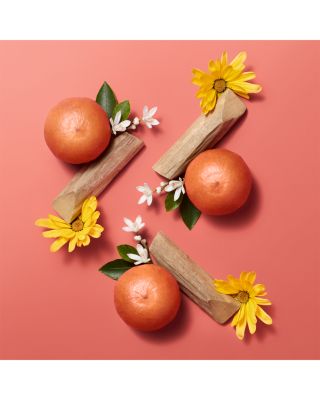 Herm&egrave;sistible Infused Lip Care Oil 