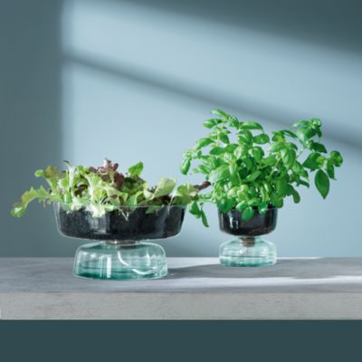 Canopy Self Watering Planter