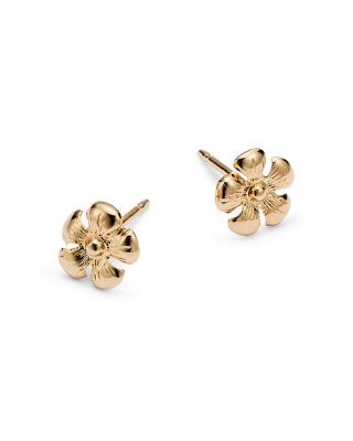 Daisy Stud Earrings in 14K Yellow Gold