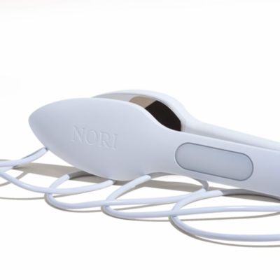 Press Steam Iron