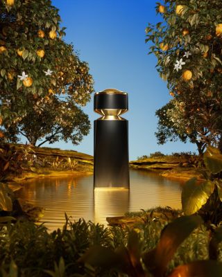 BVLGARI LE GEMME TYGAR 30ml 香水 超大特価 Bvlgari Le Gemme Tygar Eau de Parfum その他 - その他