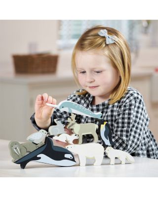 Polar Animals - Ages 3+  