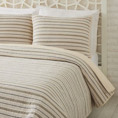 Lucien Cotton Sham, Standard