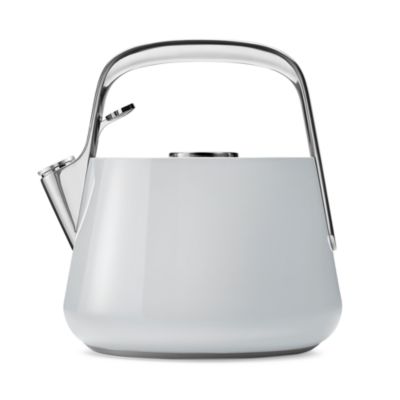 Stainless Steel Tea Kettle