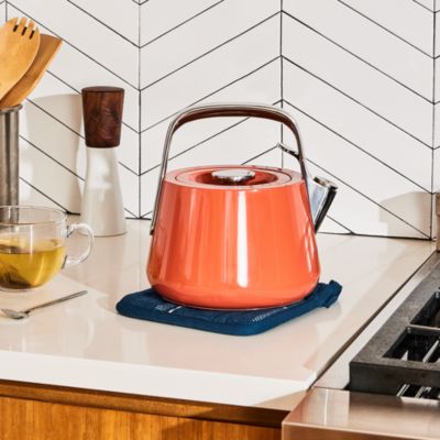 Stainless Steel Tea Kettle