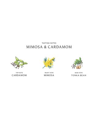 Mimosa & Cardamom Cologne 3.4 oz.