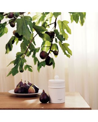Fresh Fig &amp; Cassis Candle