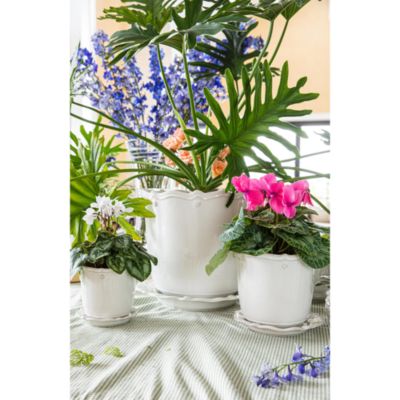 Juliska - Berry & Thread Whitewash 12" Planter & Saucer