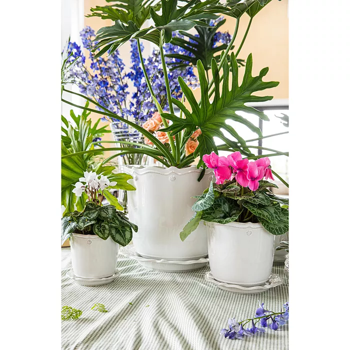Juliska Whitewash 12" Planter & Saucer