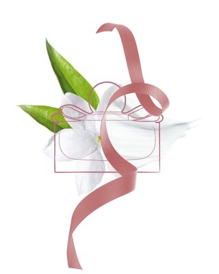 Signorina Eau de Parfum 3.4 oz.