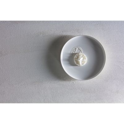 Cloud Terre&reg; 8.5" Coupe Salad Plate, White, Set of 4
