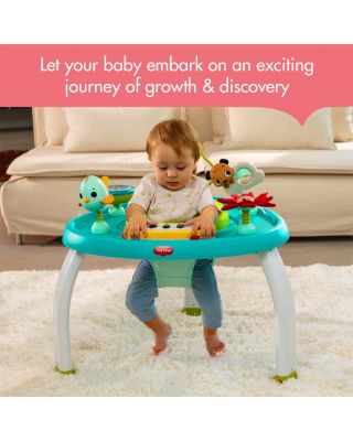 Meadow Days Stationary Activity Center - Ages 6 months+