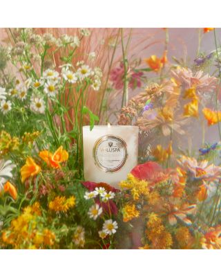 Wildflowers Classic Candle 9.5 oz.