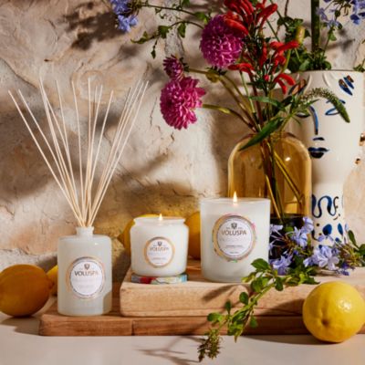 Wildflowers Superbloom Gift Set