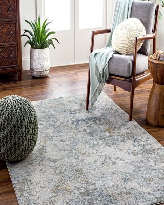 Dresden DRE-2302 Area Rug, 2'7" x 4'