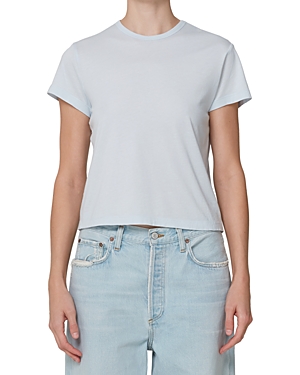 Agolde Drew Tee In Wolf Eye