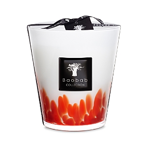 Shop Baobab Collection Max 16 Feathers Maasai Candle