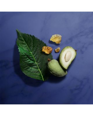 Armani/Priv&eacute; Indigo Tanzanite Eau de Parfum 3.4 oz.