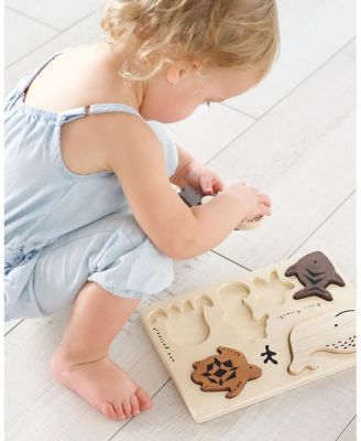 Ocean Explorer Bundle - Ages 2+