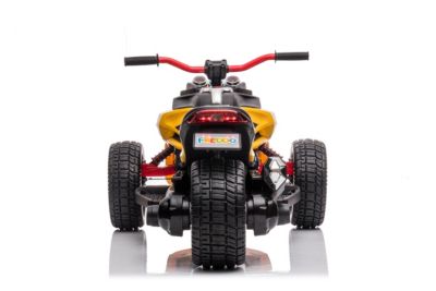 3 Wheel 24V 2-Seater Motorcycle Kids Ride on