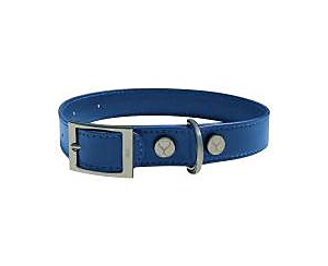 Shop Shaya Pets Leather Adjustable & Water Resistant Dog Collar In Blue