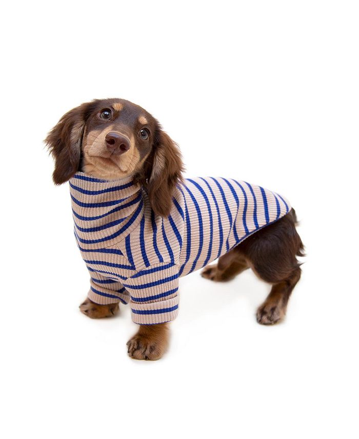 Bloomingdales sales dog accessories