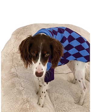 Little Beast Straight Outta Hamptons Sweater For Dogs In Blue